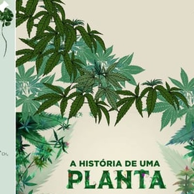 Post Instagram Dr. Lucas Lomba